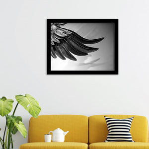Feathers Closeup Back And White Framed Wall Art Print - Framed Art, Prints for Sale, Painting Art, Painting Prints