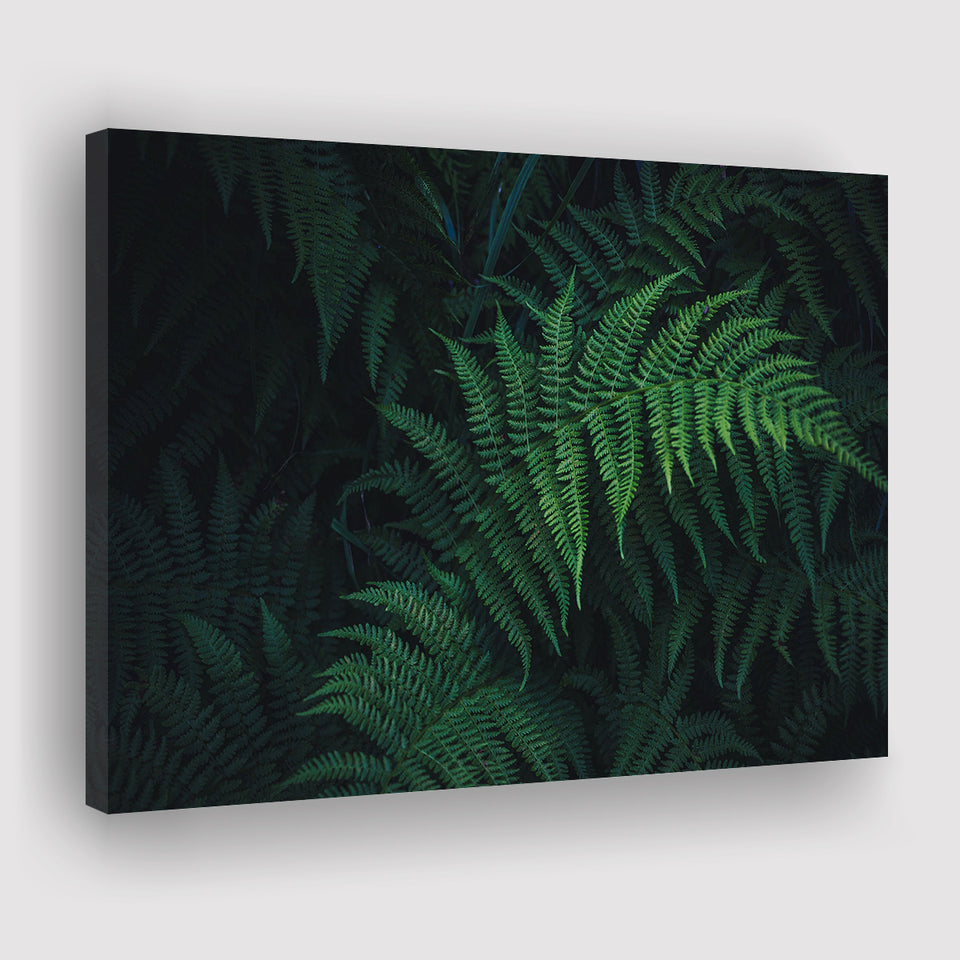 Fern Canvas Prints Wall Art Decor - Painting Canvas, Art Print, Home Decor, Ready to Hang