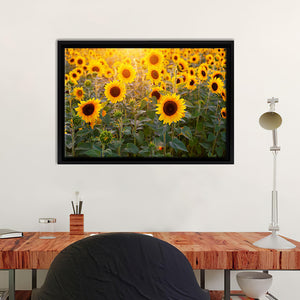 Field of Sunflowers Canvas Wall Art - Framed Art, Prints For Sale, Painting For Sale, Framed Canvas, Painting Canvas
