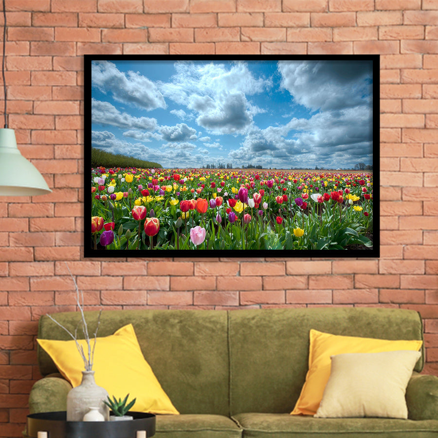 Field Of Tulips In Various Colors Framed Art Prints Wall Decor - Painting Prints, Wall Art, Framed Picture, Black Frame