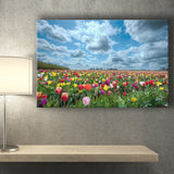 Field Of Tulips In Various Colors Canvas Prints Wall Art - Painting Canvas, Wall Decor, Canvas Art, For Sale