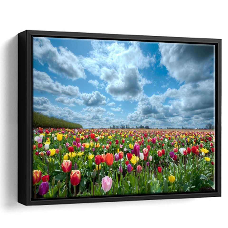 Field Of Tulips In Various Colors Framed Canvas Prints Wall Art - Painting Canvas, Wall Decor, Canvas Art, Floating Frame