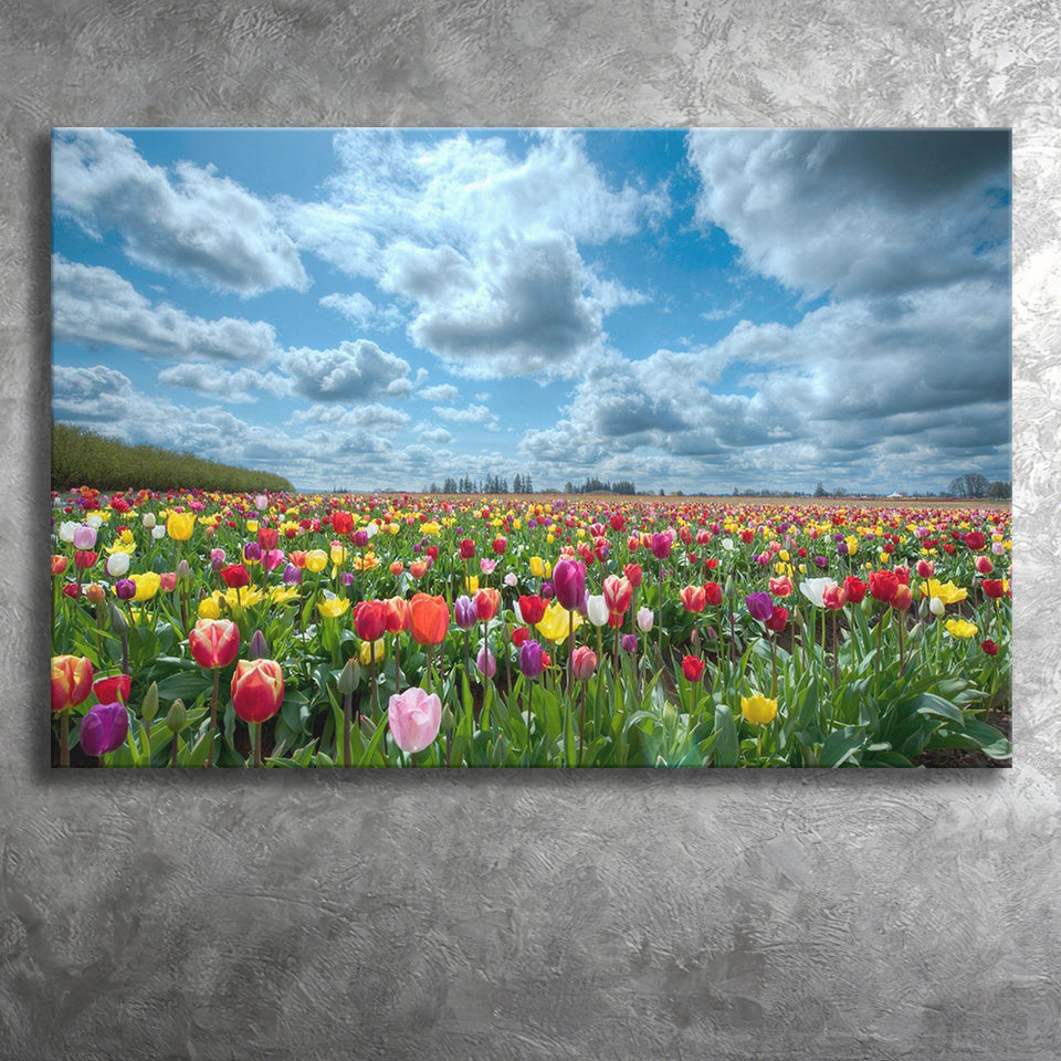 Field Of Tulips In Various Colors Canvas Prints Wall Art - Painting Canvas, Wall Decor, Canvas Art, For Sale