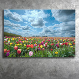 Field Of Tulips In Various Colors Canvas Prints Wall Art - Painting Canvas, Wall Decor, Canvas Art, For Sale