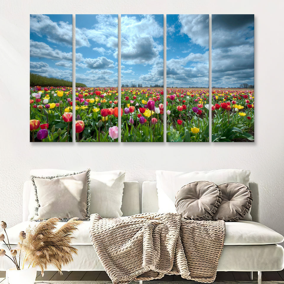 Field Of Tulips In Various Colors 5 Pieces B Canvas Prints Wall Art - Painting Canvas, Multi Panel, Wall Decor, Canvas Art