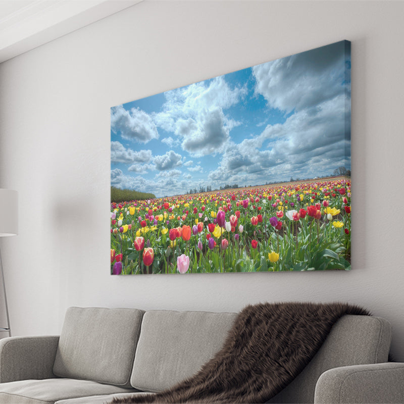 Field Of Tulips In Various Colors Canvas Prints Wall Art - Painting Canvas, Wall Decor, Canvas Art, For Sale