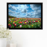 Field Of Tulips In Various Colors Framed Canvas Prints Wall Art - Painting Canvas, Wall Decor, Canvas Art, Floating Frame