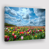 Field Of Tulips In Various Colors Canvas Prints Wall Art - Painting Canvas, Wall Decor, Canvas Art, For Sale