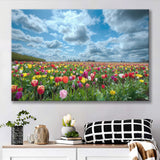 Field Of Tulips In Various Colors Canvas Prints Wall Art - Painting Canvas, Wall Decor, Canvas Art, For Sale