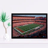 First Energy Stadium, Stadium Canvas, Sport Art, Gift for him, Framed Art Prints Wall Art Decor, Framed Picture