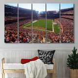 First Energy Stadium Wall Art Cleveland Browns Stadium Canvas Prints,Multi Panels B,Sport Stadium Art Prints, Fan Gift