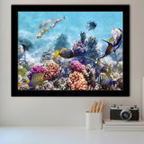 Fish Underwater Cool Framed Art Prints Wall Decor - Painting Prints, Framed Picture, Home Decor