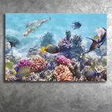 Fish Underwater Cool Canvas Prints Wall Art Decor - Paiting Canvas, Art Prints, Wall Decor, For Sale