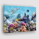 Fish Underwater Cool Canvas Prints Wall Art Decor - Paiting Canvas, Art Prints, Wall Decor, For Sale