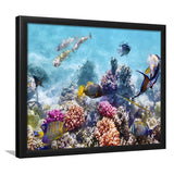 Fish Underwater Cool Framed Art Prints Wall Decor - Painting Prints, Framed Picture, Home Decor