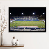 Florida Atlantic University Wall Art Florida Atlantic Owl,Sport Stadium Art Prints, Fan Gift