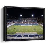 Florida Atlantic University Wall Art Florida Atlantic Owl,Sport Stadium Art Prints, Fan Gift