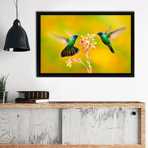 Fluttering Hummingbirds Canvas Wall Art - Framed Art, Prints For Sale, Painting For Sale, Framed Canvas, Painting Canvas