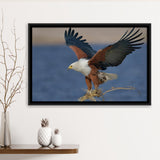 Flying Eagle Framed Canvas Prints Wall Art - Painting Canvas, Wall Decor, Canvas Art, Floating Frame