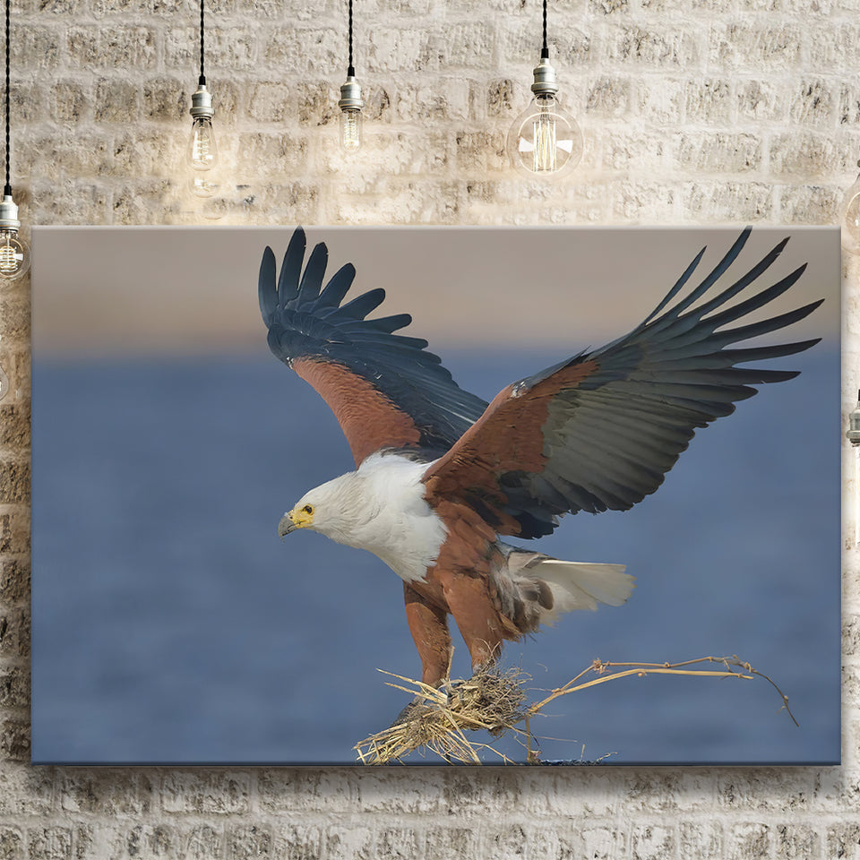 Flying Eagle Canvas Prints Wall Art - Painting Canvas, Wall Decor, Canvas Art, For Sale