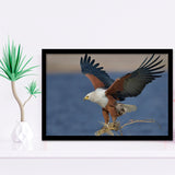 Flying Eagle Framed Art Prints Wall Decor - Painting Prints, Wall Art, Framed Picture, Black Frame