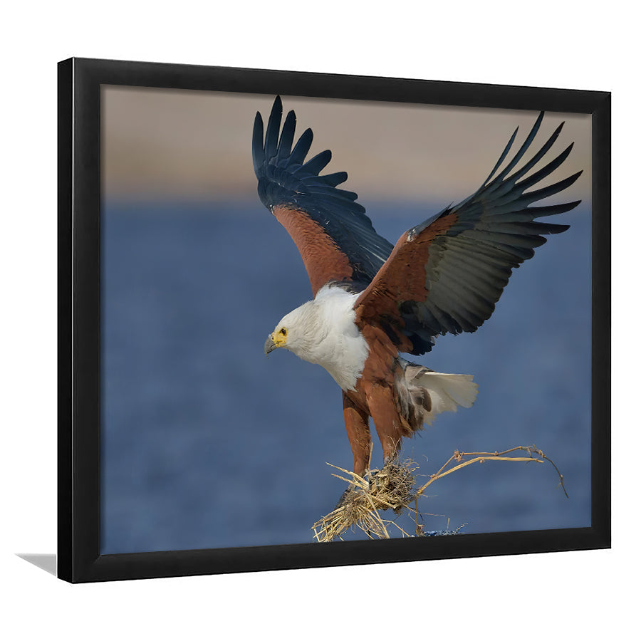 Flying Eagle Framed Art Prints Wall Decor - Painting Prints, Wall Art, Framed Picture, Black Frame