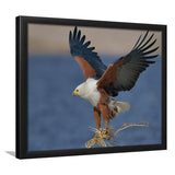 Flying Eagle Framed Art Prints Wall Decor - Painting Prints, Wall Art, Framed Picture, Black Frame