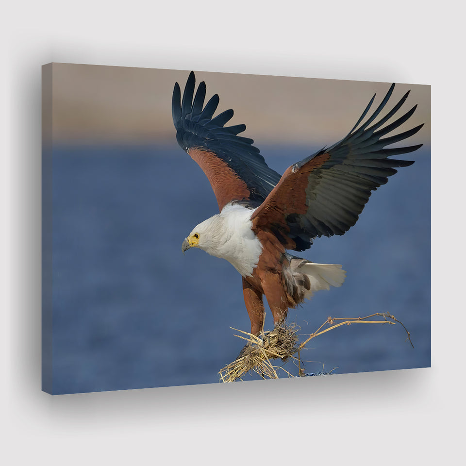 Flying Eagle Canvas Prints Wall Art - Painting Canvas, Wall Decor, Canvas Art, For Sale