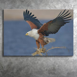Flying Eagle Canvas Prints Wall Art - Painting Canvas, Wall Decor, Canvas Art, For Sale