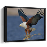 Flying Eagle Framed Canvas Prints Wall Art - Painting Canvas, Wall Decor, Canvas Art, Floating Frame