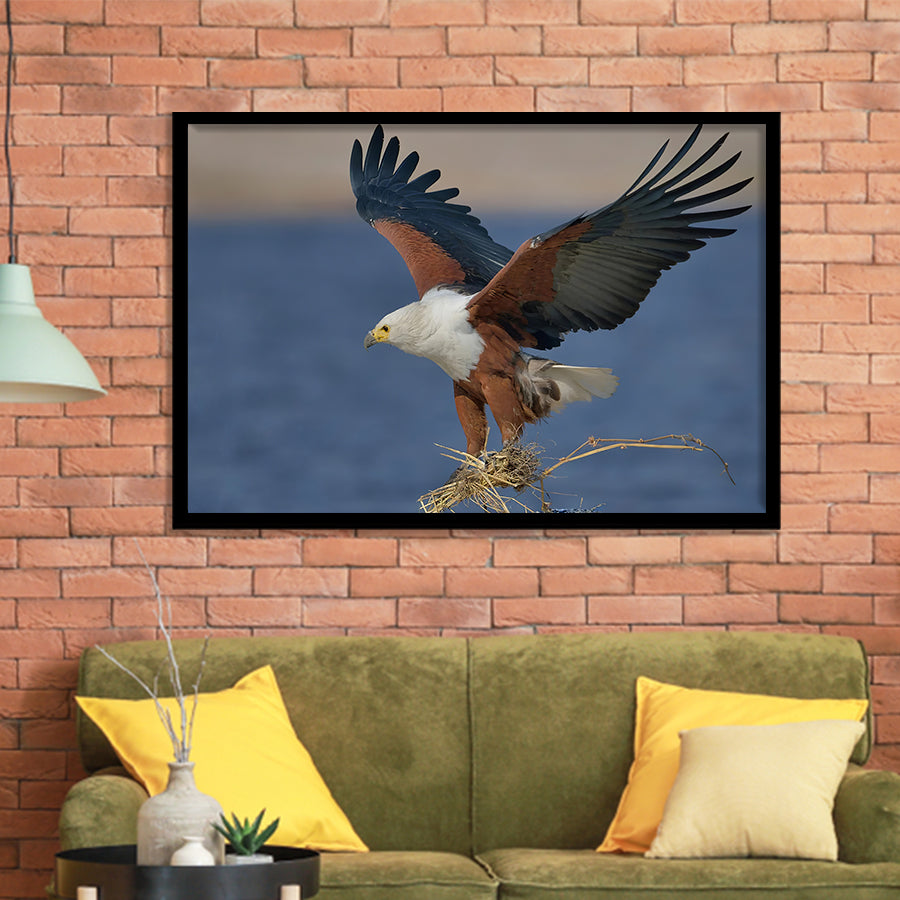 Flying Eagle Framed Art Prints Wall Decor - Painting Prints, Wall Art, Framed Picture, Black Frame