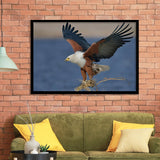 Flying Eagle Framed Art Prints Wall Decor - Painting Prints, Wall Art, Framed Picture, Black Frame