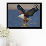 Flying Eagle Framed Canvas Prints Wall Art - Painting Canvas, Wall Decor, Canvas Art, Floating Frame