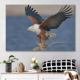 Flying Eagle Canvas Prints Wall Art - Painting Canvas, Wall Decor, Canvas Art, For Sale
