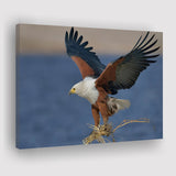 Flying Eagle Canvas Prints Wall Art - Painting Canvas, Wall Decor, Canvas Art, For Sale