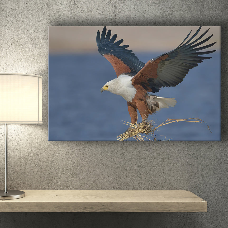 Flying Eagle Canvas Prints Wall Art - Painting Canvas, Wall Decor, Canvas Art, For Sale