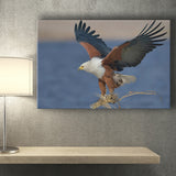 Flying Eagle Canvas Prints Wall Art - Painting Canvas, Wall Decor, Canvas Art, For Sale
