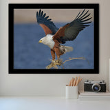 Flying Eagle Framed Art Prints Wall Decor - Painting Prints, Wall Art, Framed Picture, Black Frame