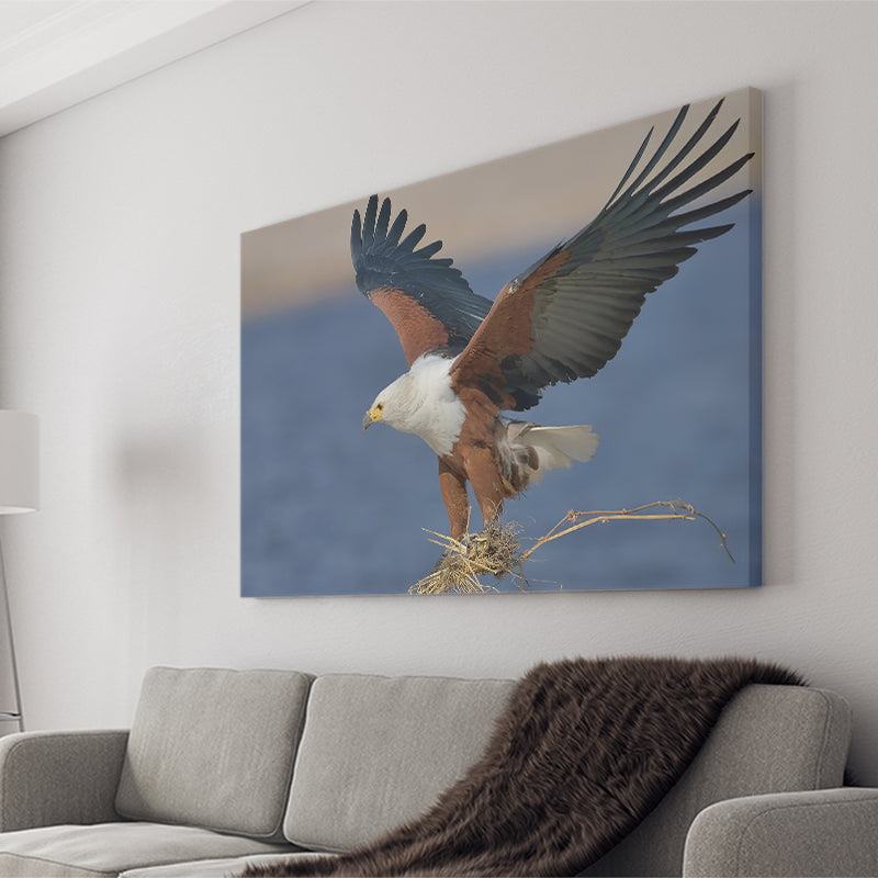 Flying Eagle Canvas Prints Wall Art - Painting Canvas, Wall Decor, Canvas Art, For Sale