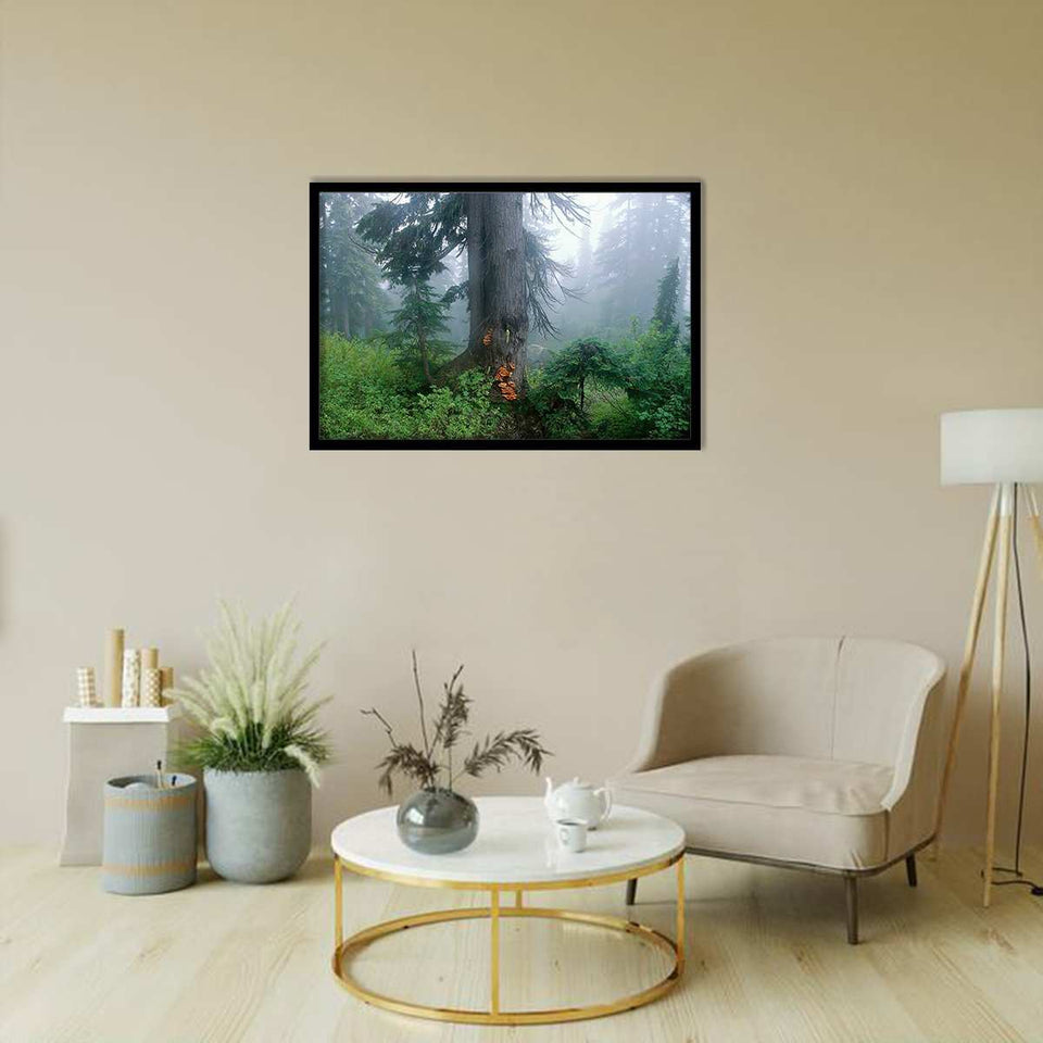 Foggy Woodland Forest-Forest art, Art print, Plexiglass Cover