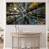 Forest 5 Piece B Canvas Prints Wall Art Decor, Multi Panels,Large Canvas, Home Decor
