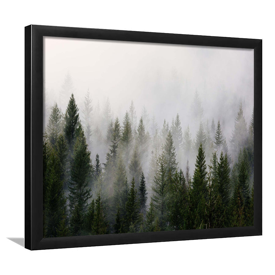 Forest, Forest Framed Art Prints Wall Art Decor,Black Frame, Ready to hang
