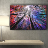 Forest, Trees Canvas Art Canvas Prints Wall Art Home Decor - Painting Canvas, Ready to hang