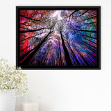 Forest, Trees Canvas Art Framed Canvas Prints Wall Art Decor, Black Floating Frame