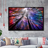 Forest, Trees Art Framed Art Prints Wall Art Decor,Black Frame, Ready to hang