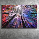 Forest, Trees Canvas Art Canvas Prints Wall Art Home Decor - Painting Canvas, Ready to hang