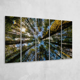 Forest 5 Piece B Canvas Prints Wall Art Decor, Multi Panels,Large Canvas, Home Decor