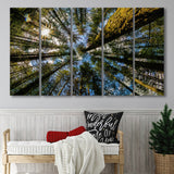 Forest 5 Piece B Canvas Prints Wall Art Decor, Multi Panels,Large Canvas, Home Decor