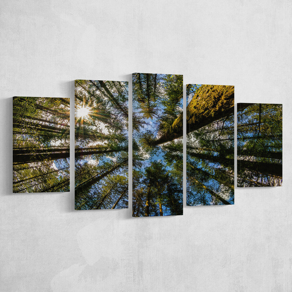 Forest 5 Pieces Canvas Prints Wall Art Decor - Painting Canvas, Mixed Canvas, Multi Panels