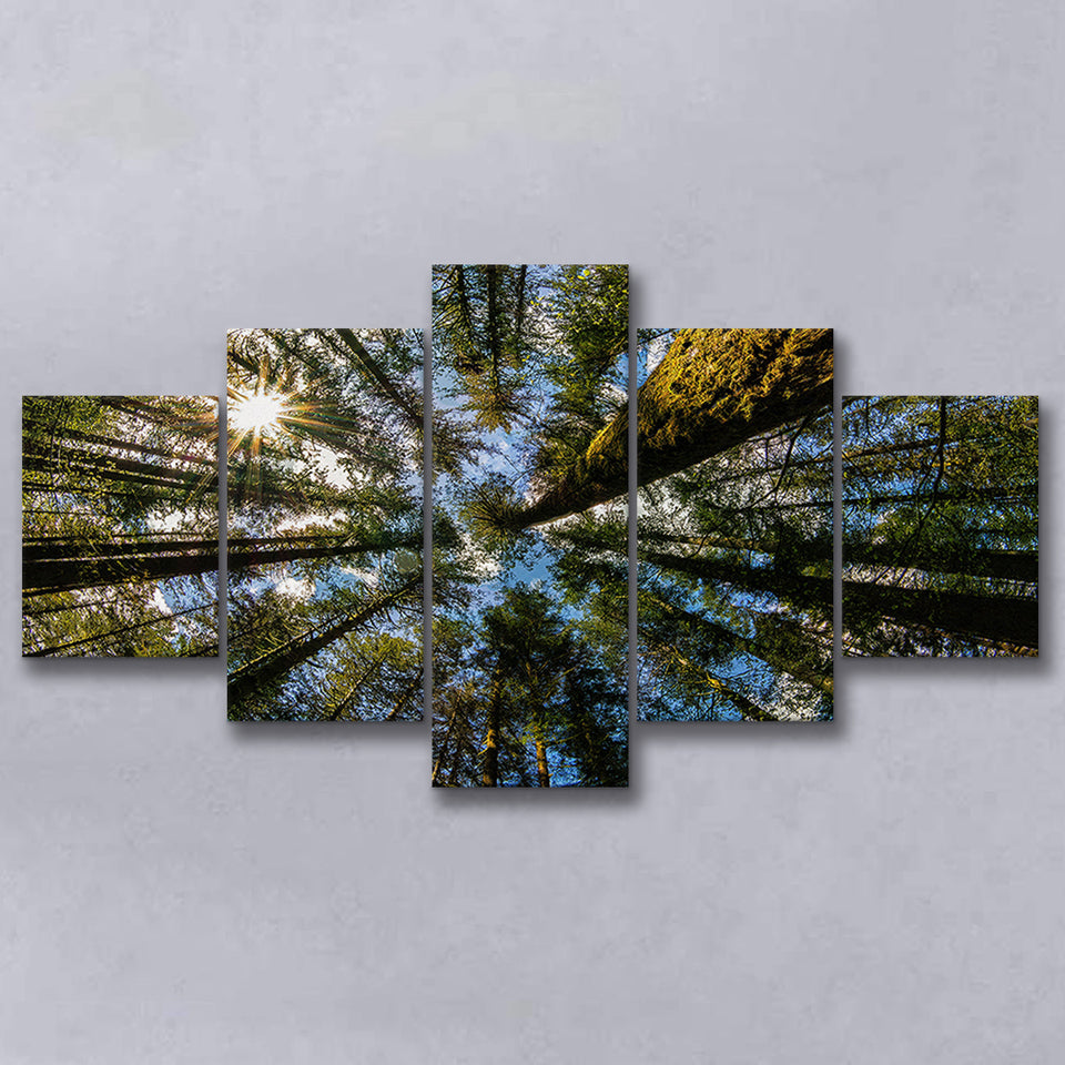 Forest 5 Pieces Canvas Prints Wall Art Decor - Painting Canvas, Mixed Canvas, Multi Panels